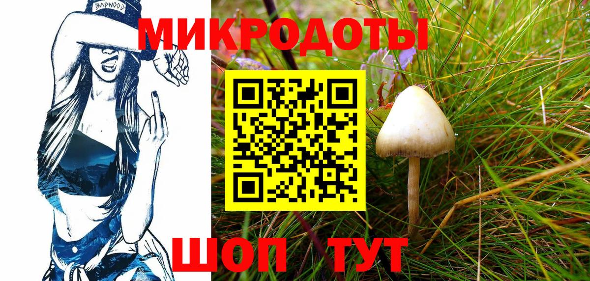 как найти закладки  Галлюциногенные грибы Psilocybe  Химки  Вход с VPN  Псилоцибиновые грибы Psilocybe 